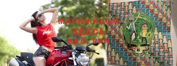 стафф Верея